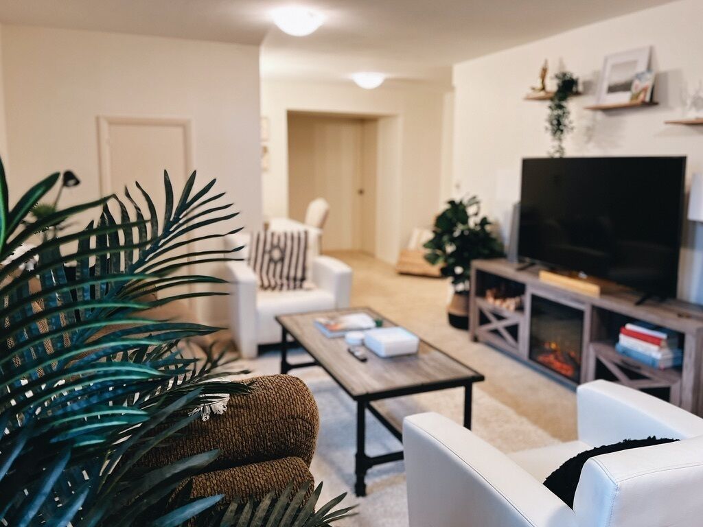 Smart TV, fireplace, books