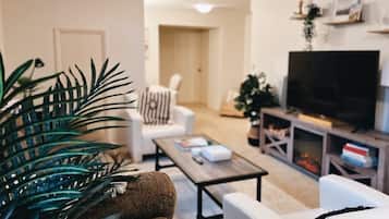 Smart TV, lareira, livros