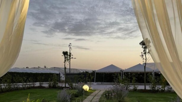 A garden with a paved path, green grass, and decorative lights. - ATENA APPARTAMENTO PER 5 PERSONE (Lazio)