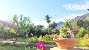 A garden with a large terracotta pot containing pink flowers, surrounded by lush greenery and a clear blue sky. - AHP (Corfu)
