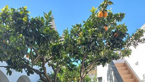Un espacio exterior moderno con un árbol, césped artificial y un camino de piedra.