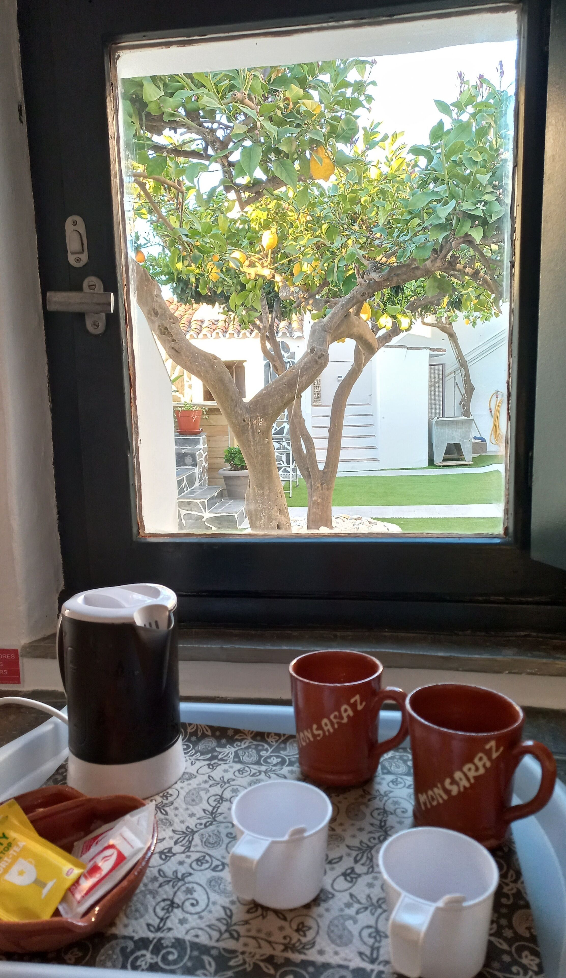 A window with a view of a tree and a building. There are two red mugs and a white mug on a tray.