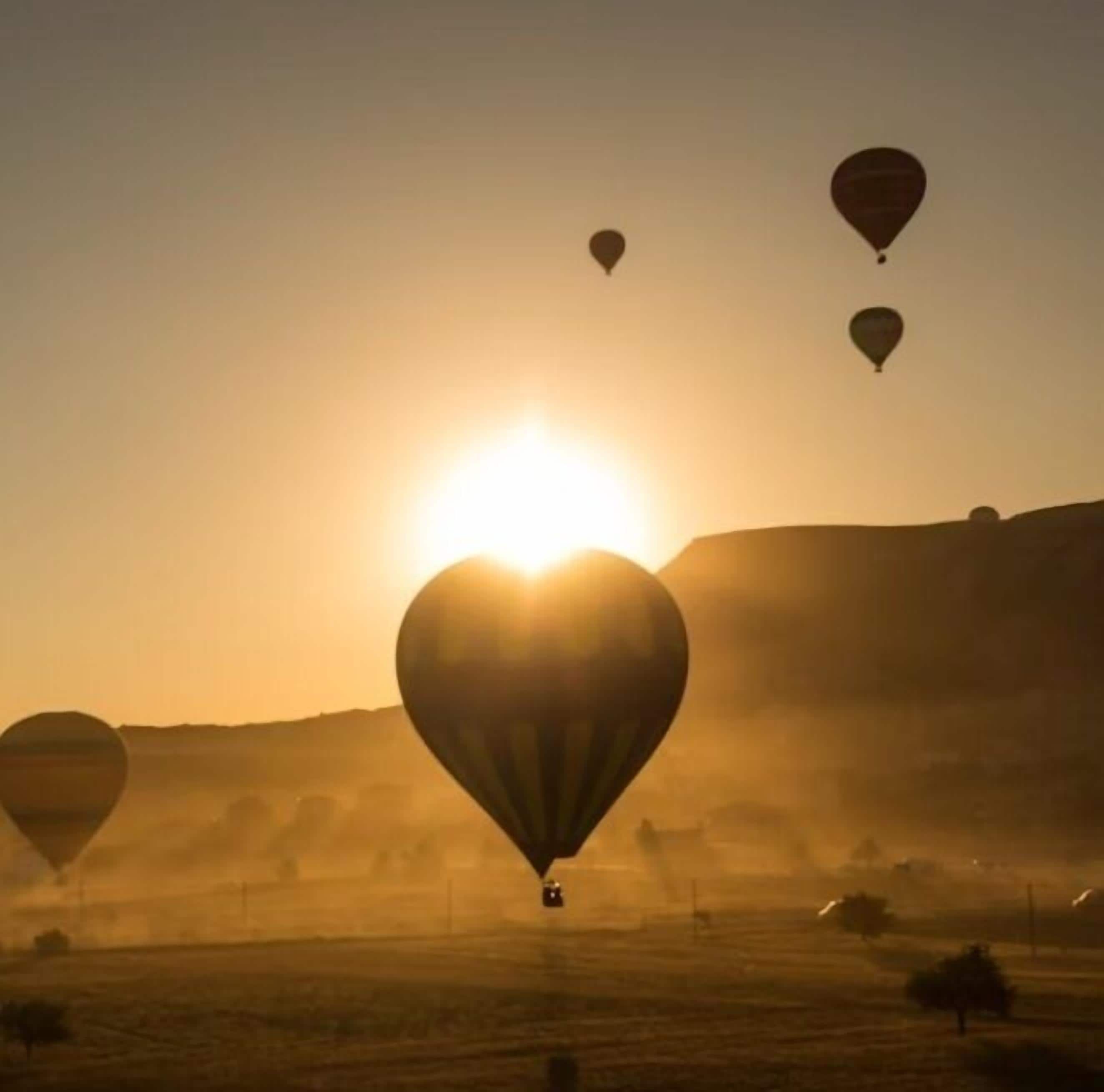 A landscape with multiple hot air balloons at sunset.