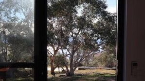 Vista a través de una ventana que muestra un cuarto con piso de madera y un árbol grande afuera.
