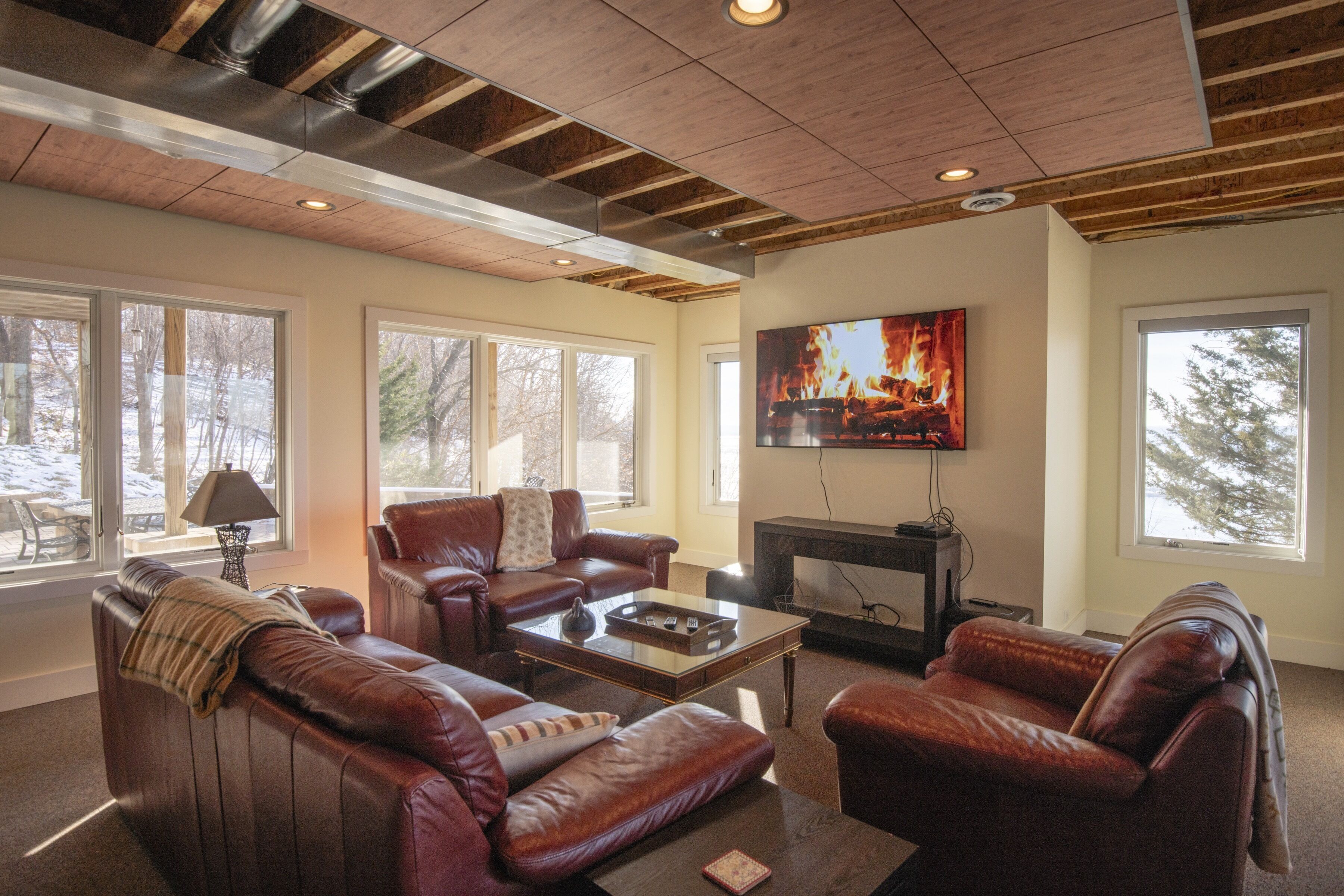 A View to a Thrill - Experience a beautiful view of the Upper Mississippi River