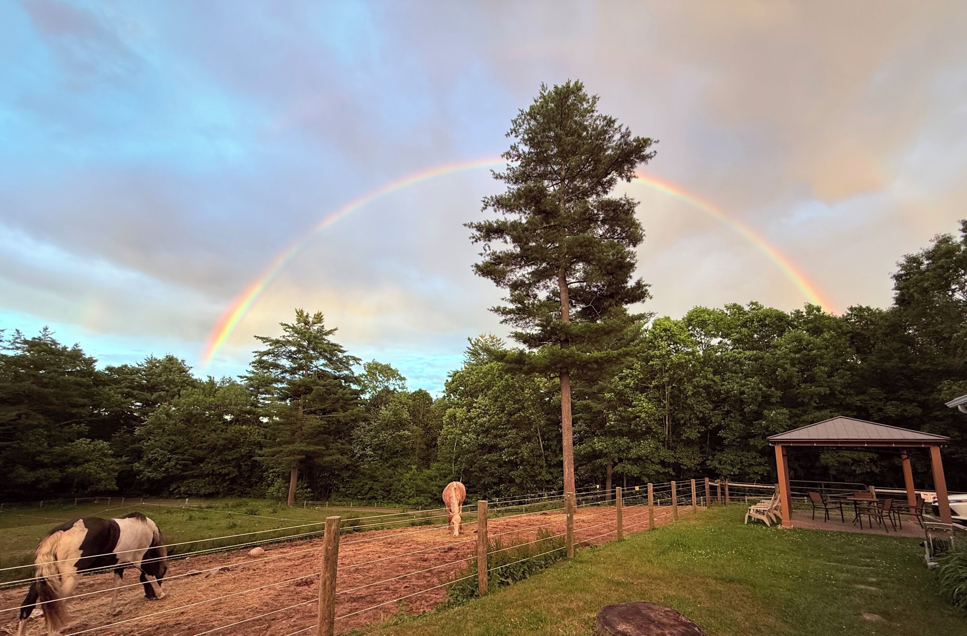 A fenced outdoor area with a pavilion, a horse, and a rainbow.