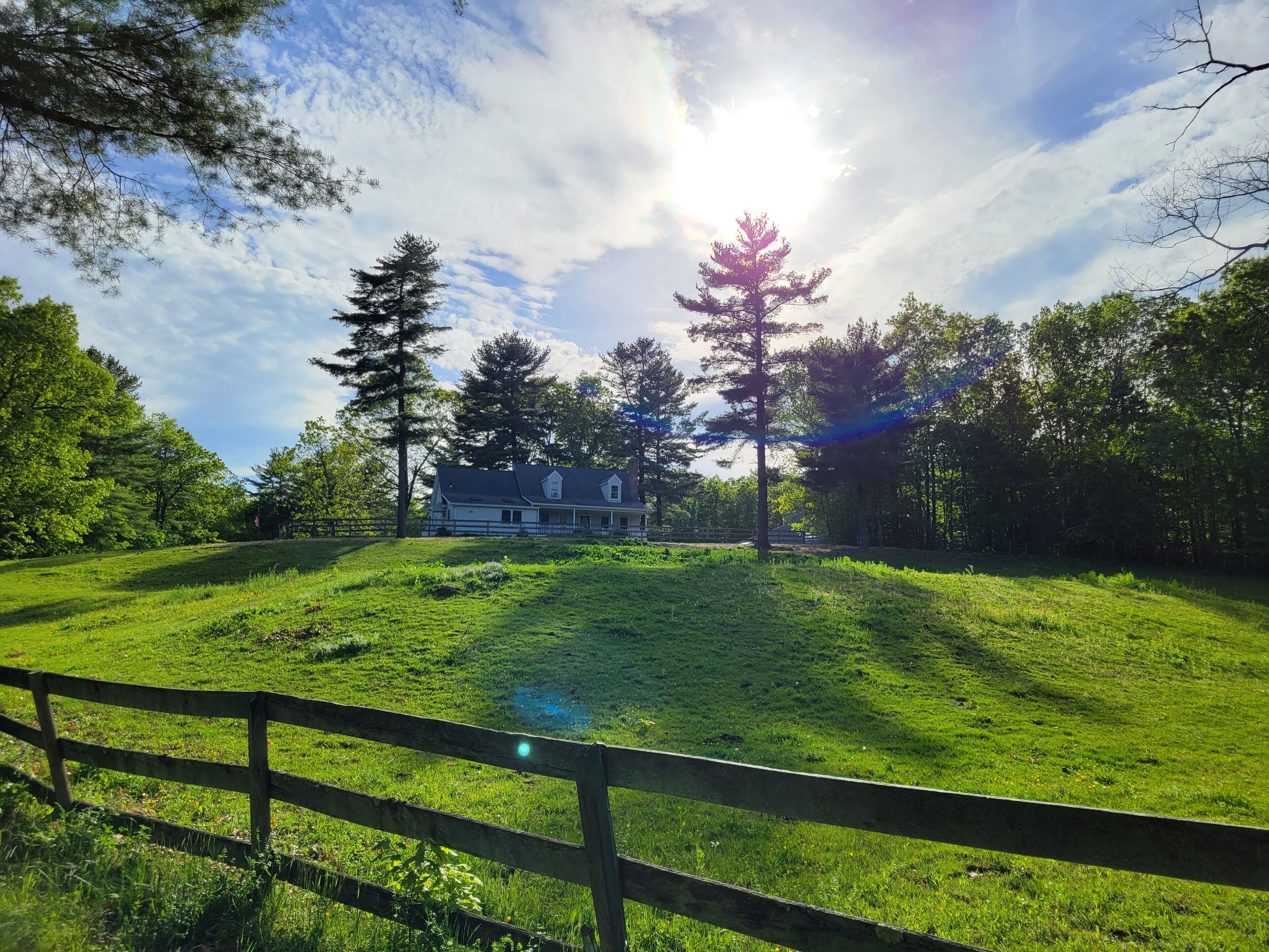 Serene 1-bedroom suite on 65 acre horse property