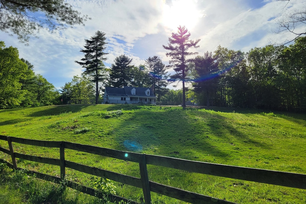 Serene 1-bedroom suite on 65 acre horse property