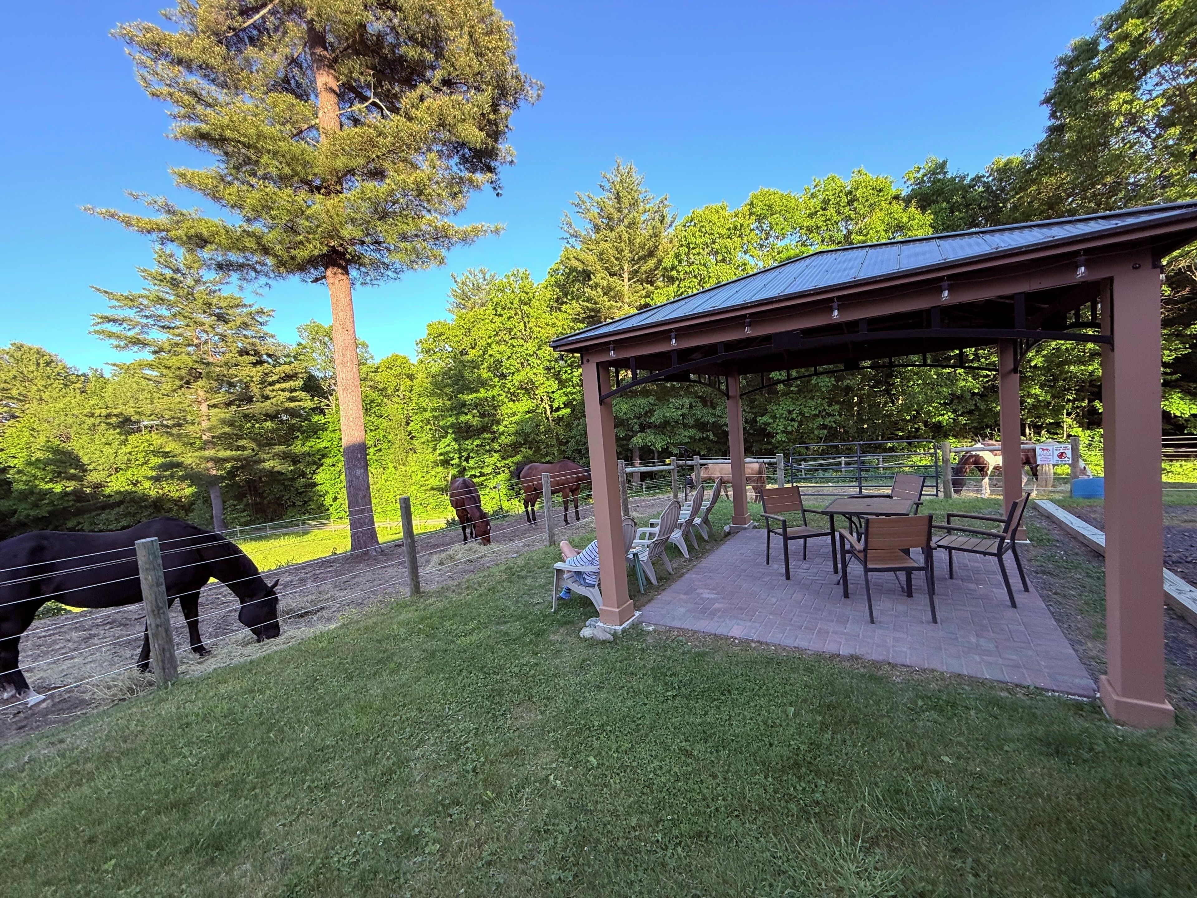A covered outdoor seating area with tables and chairs, surrounded by a fenced enclosure with horses.