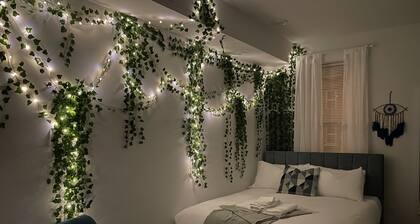 The Mykonos Muse - University City
