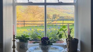 A window with a view of a rural landscape, including fields and a fence.