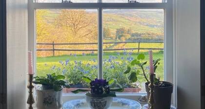 Thatched Cottage with panoramic views, near Castleisland, Kerry