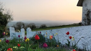 A garden with various flowers and a view of the landscape in the background.