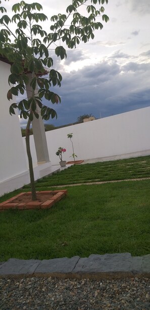 Télévision à écran plat