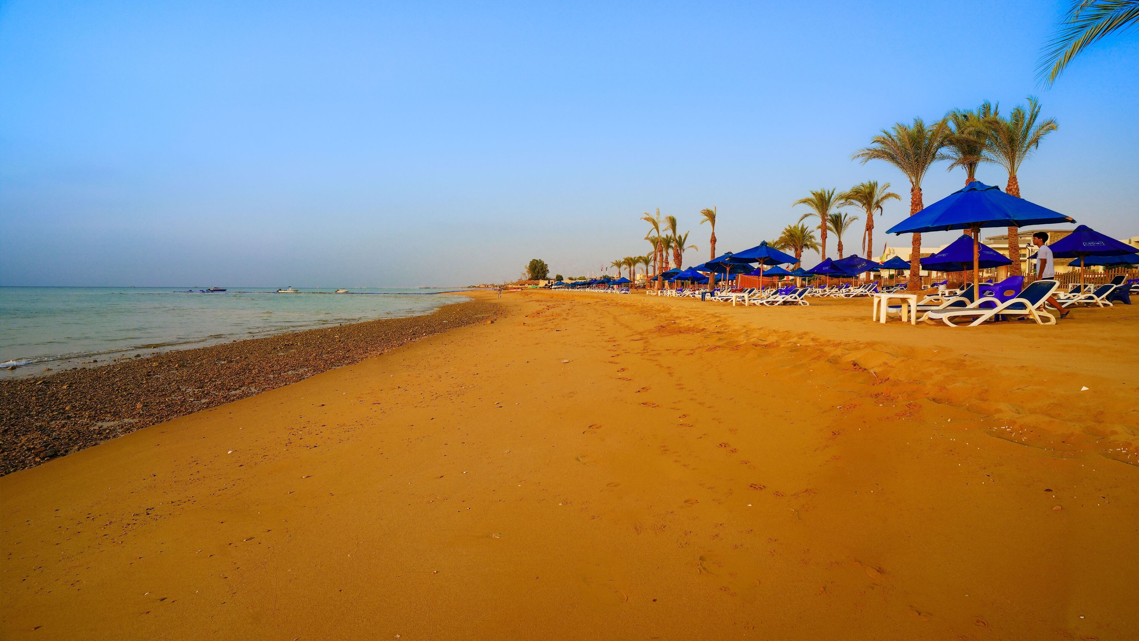 A beach with sun loungers and umbrellas, palm trees, and a clear sky.