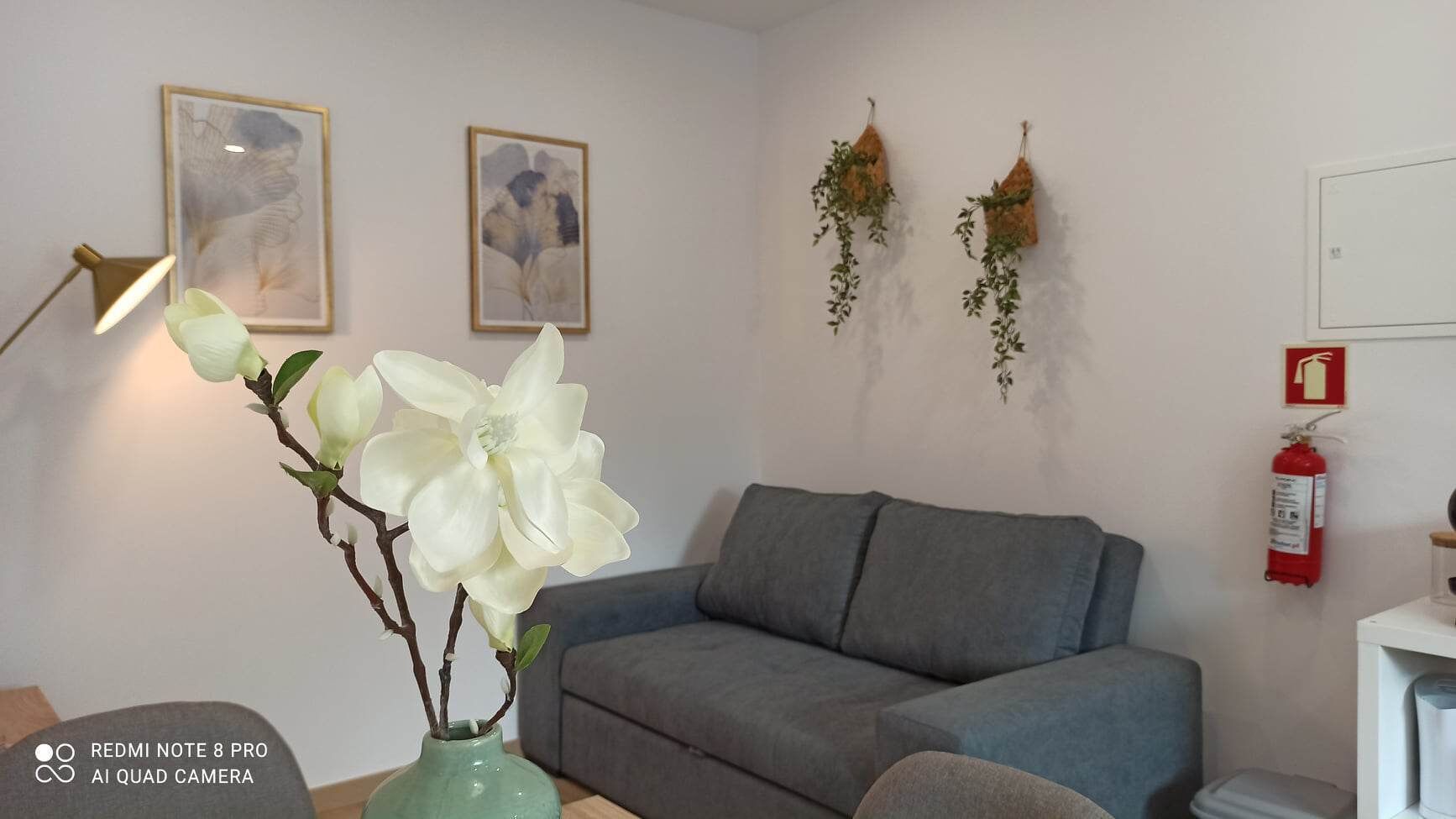 Aveiro Ria House C Apartment in Aveiro