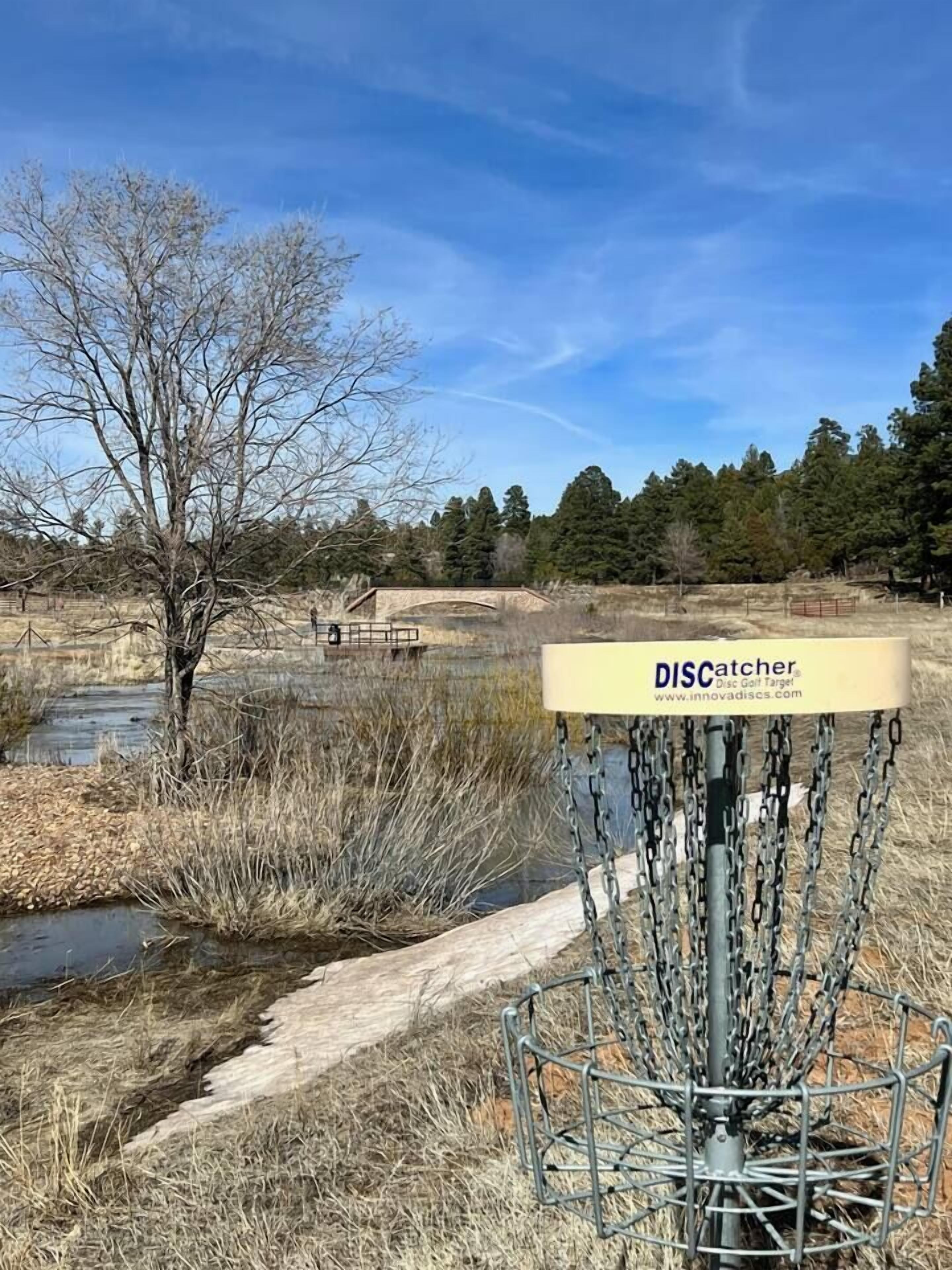 A disc golf disc catcher with a chain barrier, a small stream, and a bridge in the background.