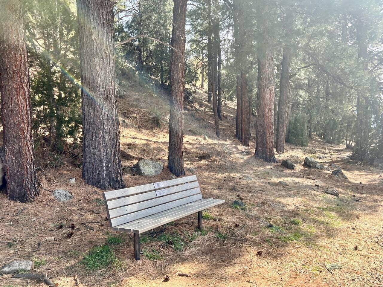 Un banc en bois situé dans une zone boisée, entouré d’arbres et de rochers.