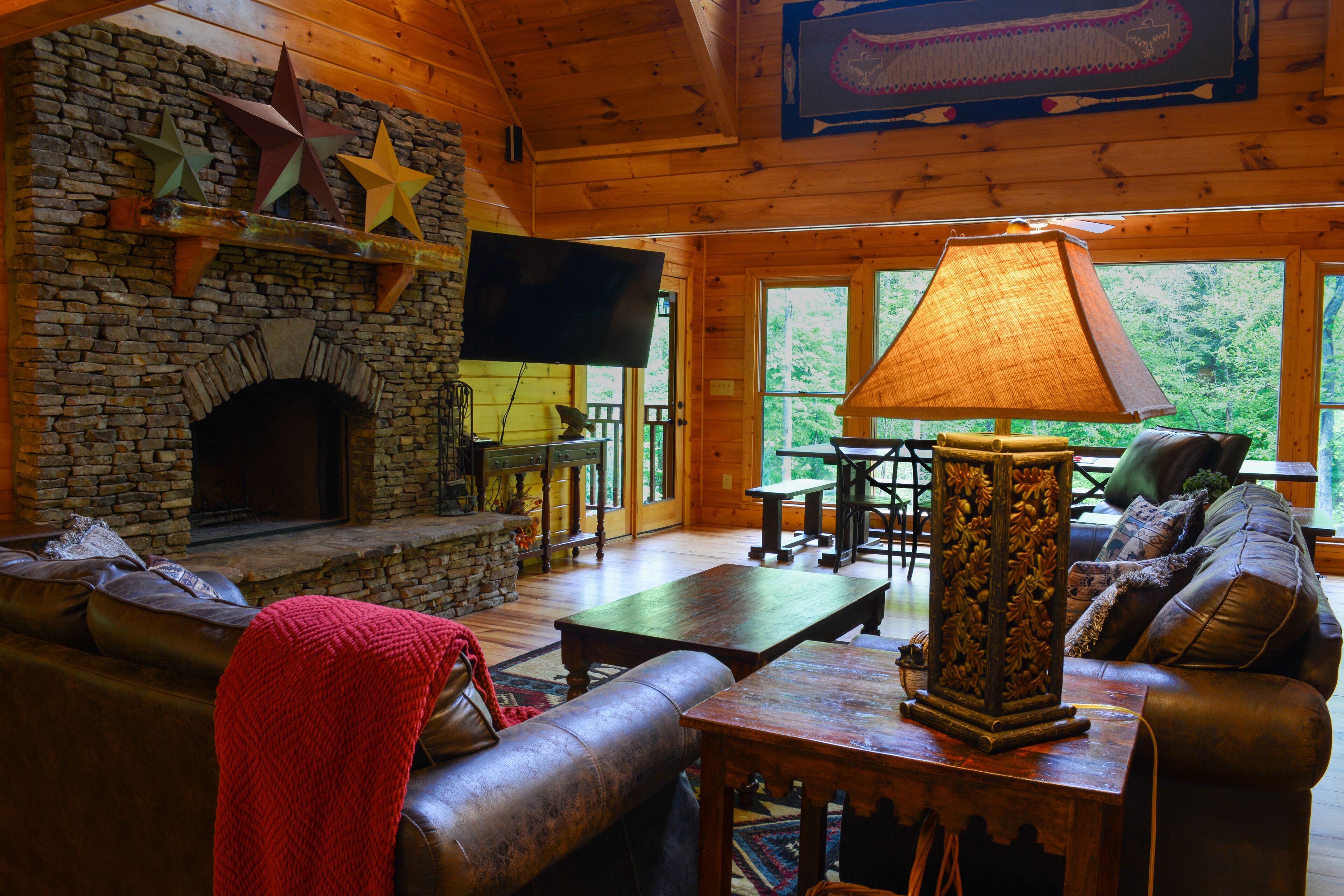 TV connectée, cheminée, jeux vidéo, lecteur de DVD