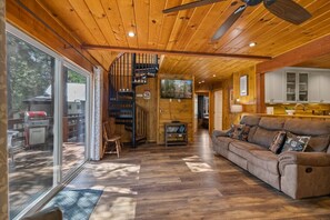 Televisión, chimenea y reproductor de DVD 