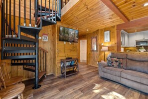 Televisión, chimenea y reproductor de DVD 