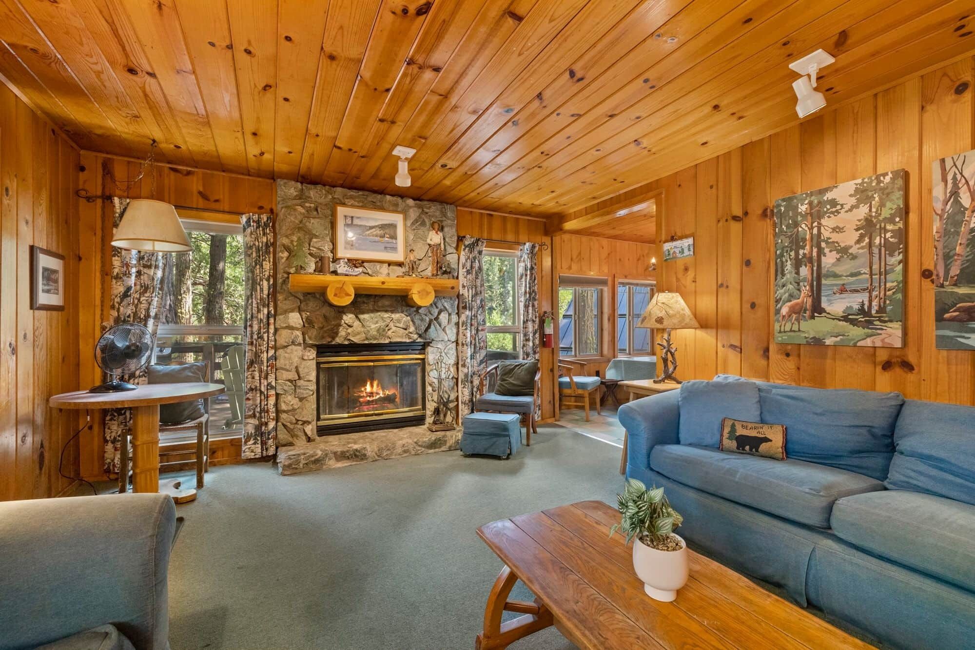 TV, fireplace, DVD player