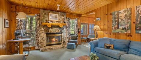 Télévision, cheminée, lecteur de DVD