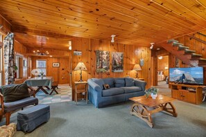 电视、壁炉、DVD 播放器