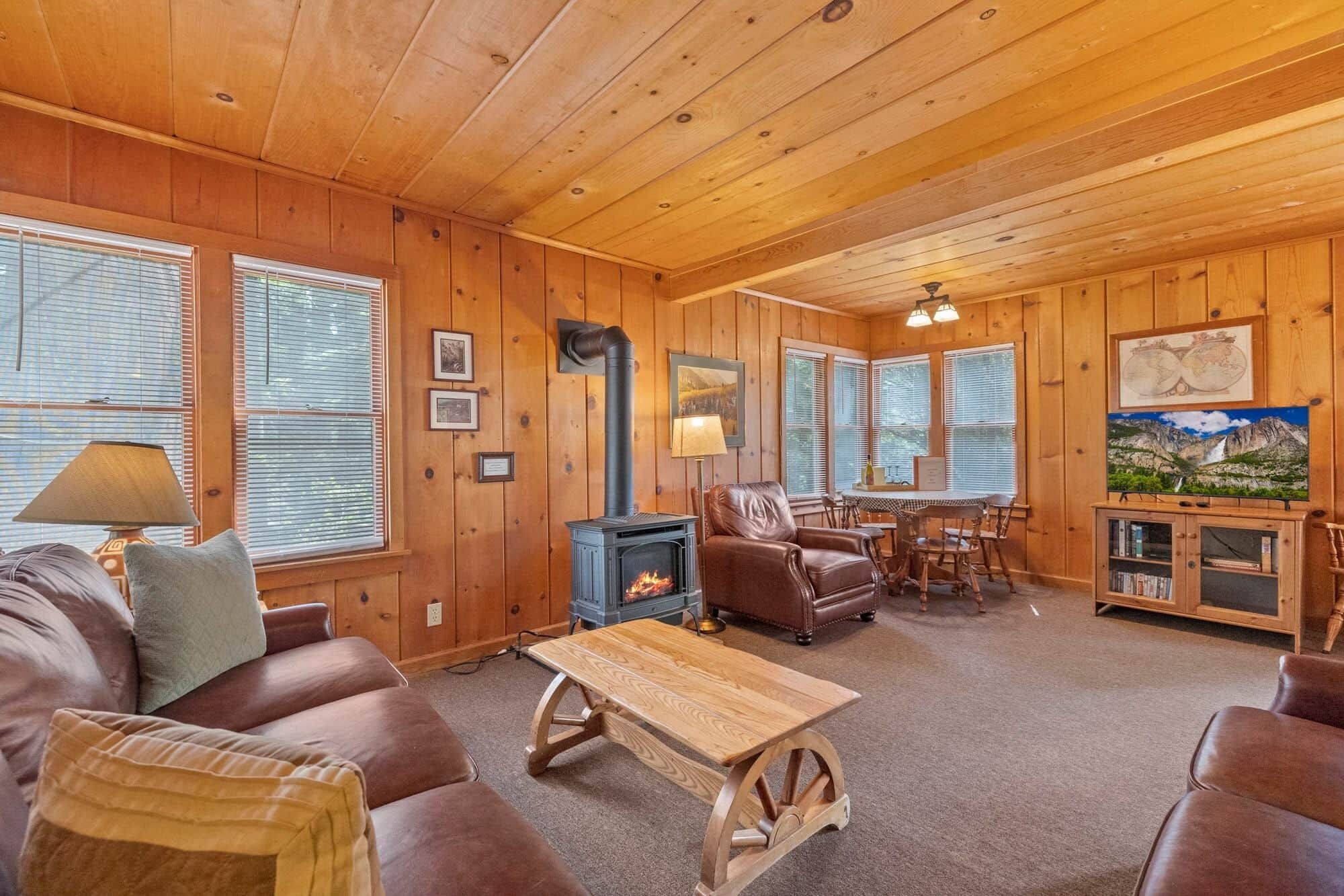 TV, fireplace, DVD player