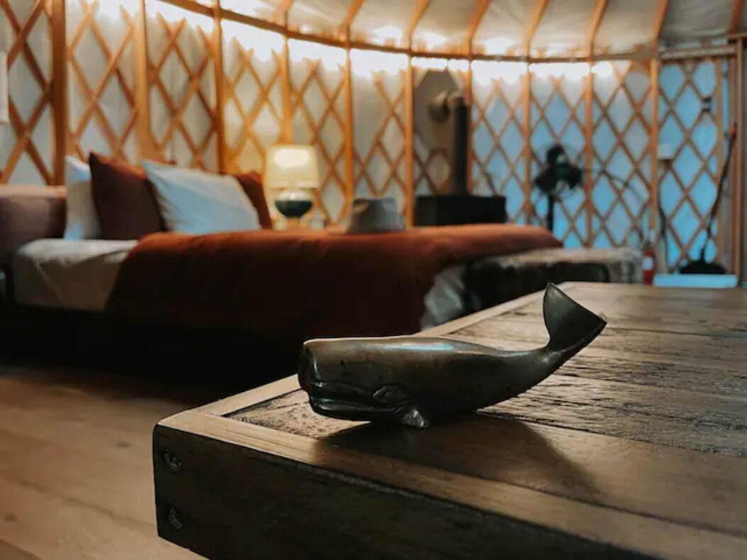 Your private Yurt in the woods -2 miles to town!