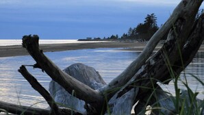 A natural landscape with a body of water, a wooden structure, and trees in the background.