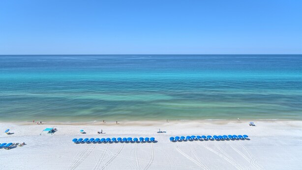 A beach with rows of blue lounge chairs and a sandy shoreline.