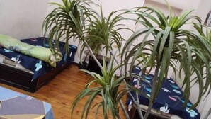 Una habitación con dos camas, cada una con una colcha azul estampada con flores. Varias plantas verdes decoran la habitación, y el suelo es de madera.