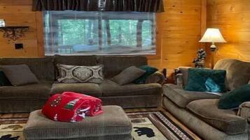 TV, fireplace, DVD player