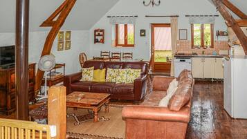 TV, fireplace, DVD player, ping pong