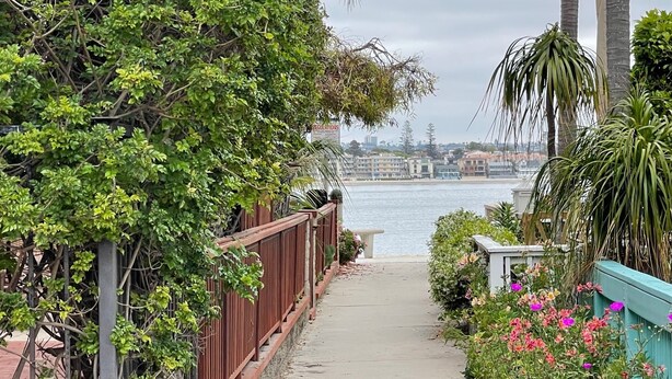A pathway leading to a waterfront with lush greenery and a view of the cityscape. - Bayside Cottage - Steps from the Bay and Ocean with AC (San Diego)