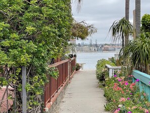 A pathway leading to a waterfront with lush greenery and a view of the cityscape. - Bayside Cottage - Steps from the Bay and Ocean with AC (San Diego)