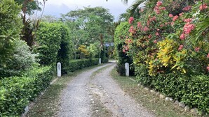 A gravel path flanked by lush greenery and flowering plants, leading to a white gate. - Hotel El Broche (Yopal)