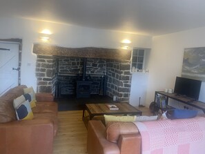 Una Smart TV, una chimenea, libros, una impresora