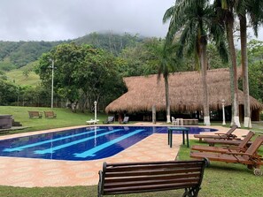 Outdoor pool, pool loungers
