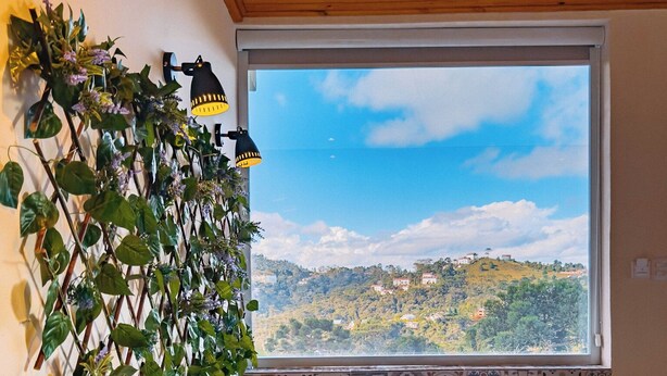 A bathroom with a large window, a bathtub, and a wall-mounted plant.