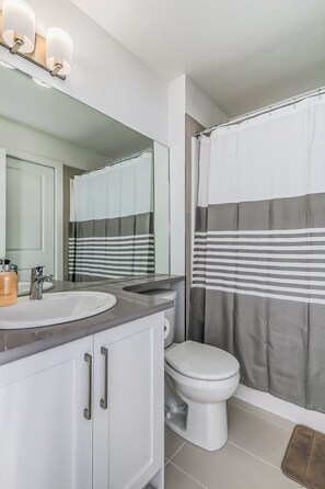 Ducha, secador de pelo, toallas y papel higiénico