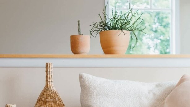 A cozy living area with a sofa, cushions, and decorative items like a woven vase and a plant.