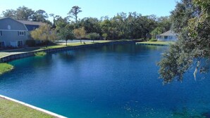 A large, clear blue swimming pool surrounded by a grassy area and trees, with houses in the background. - E10 Beautifully decorated 2BR, 2 BA island condo (St. Simons Island)