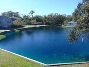 A heated pool - E10 Beautifully decorated 2BR, 2 BA island condo (St. Simons Island)