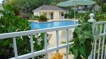 A heated pool, a lap pool