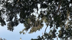 Un parc doté d’une aire de jeux, de tables de pique-nique et, au loin, d’un phare.