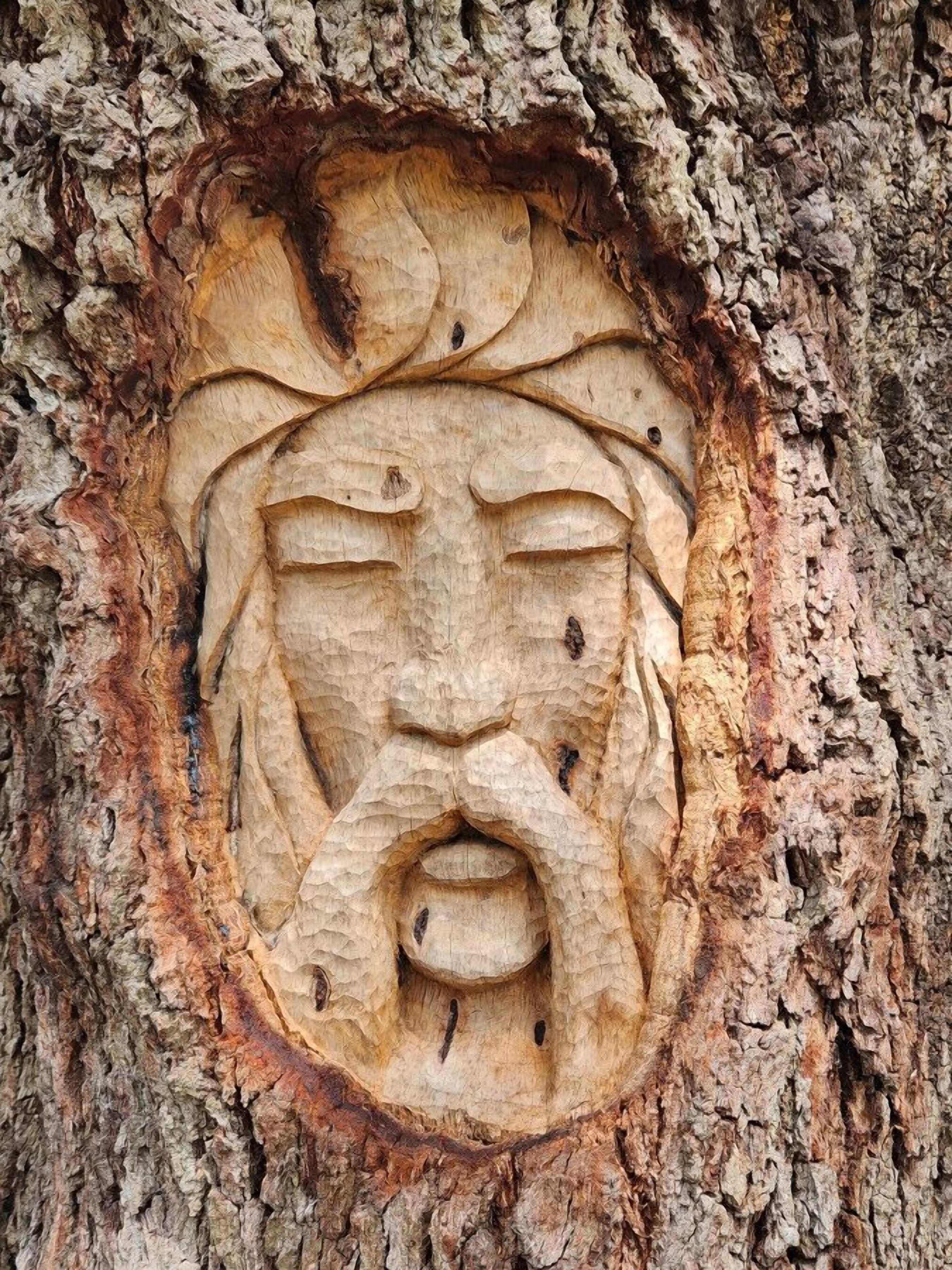 A carved face on a tree bark.