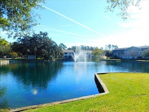 Property grounds - S3, comfy, close to pickleball (St. Simons Island)