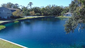 Ein großer, klarer Swimmingpool, umgeben von Rasenflächen und Bäumen, mit Häusern im Hintergrund.